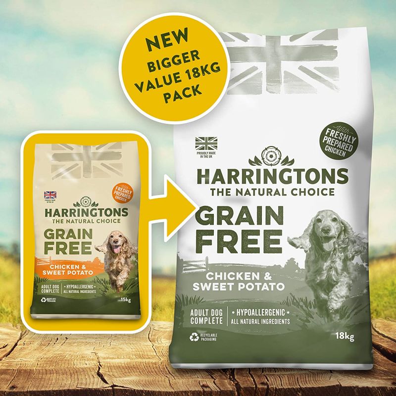 Best dog food discount for beagles