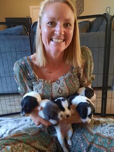 Alison - Licensed Beagle Breeder